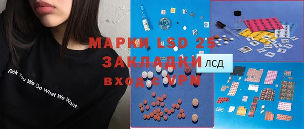 дурь Инсар