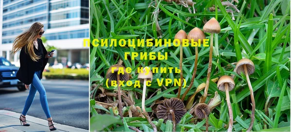 сатива Осинники