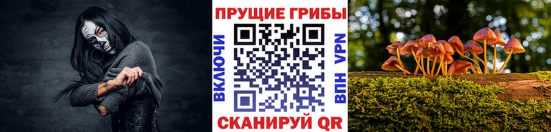 Галлюциногенные грибы MAGIC MUSHROOMS  Стерлитамак 