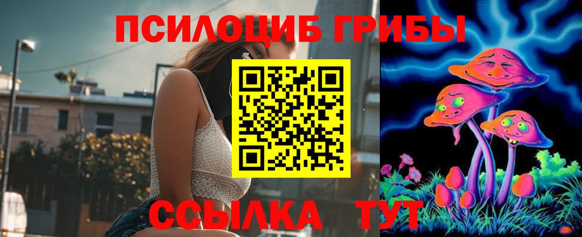 Галлюциногенные грибы GOLDEN TEACHER Стерлитамак