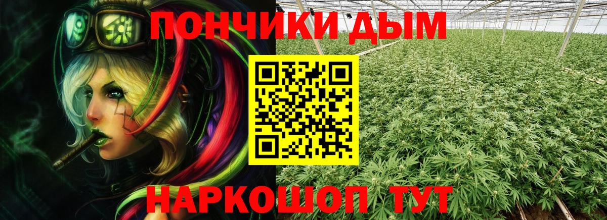 Стерлитамак  Конопля сатива  МАРИХУАНА LSD WEED  Конопля MAZAR  МАРИХУАНА семена  Вход с VPN 
